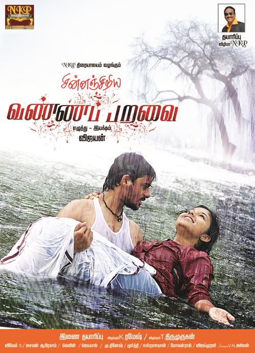 Chinnanchiriya Vannapparavai Movie Poster